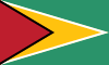 Guyana bayrağı