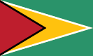 Guyana bayrağı