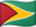 Guyana bayrağı