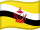 Brunei bayrağı
