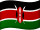 Kenya bayrağı