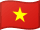 Vietnam bayrağı