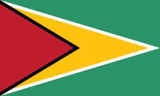 Guyana bayrağı