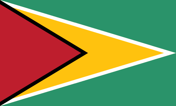 Guyana bayrağı