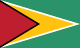 Guyana bayrağı