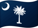 Güney Carolina Bayrağı
