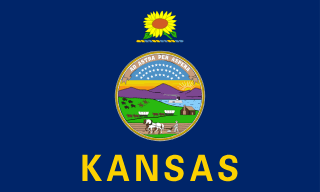 Kansas Bayrağı
