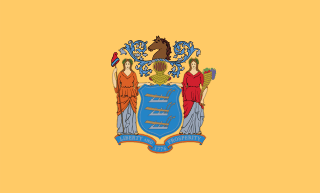 New Jersey Bayrağı