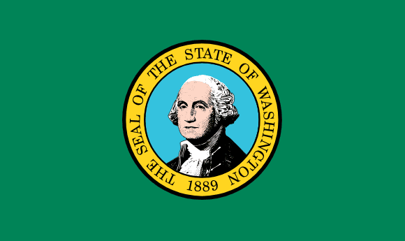 Washington Bayrağı